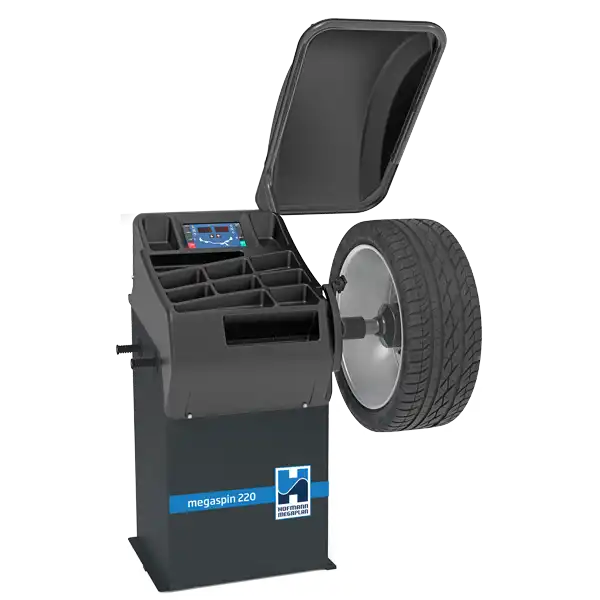 Hofmann Megaspin 220